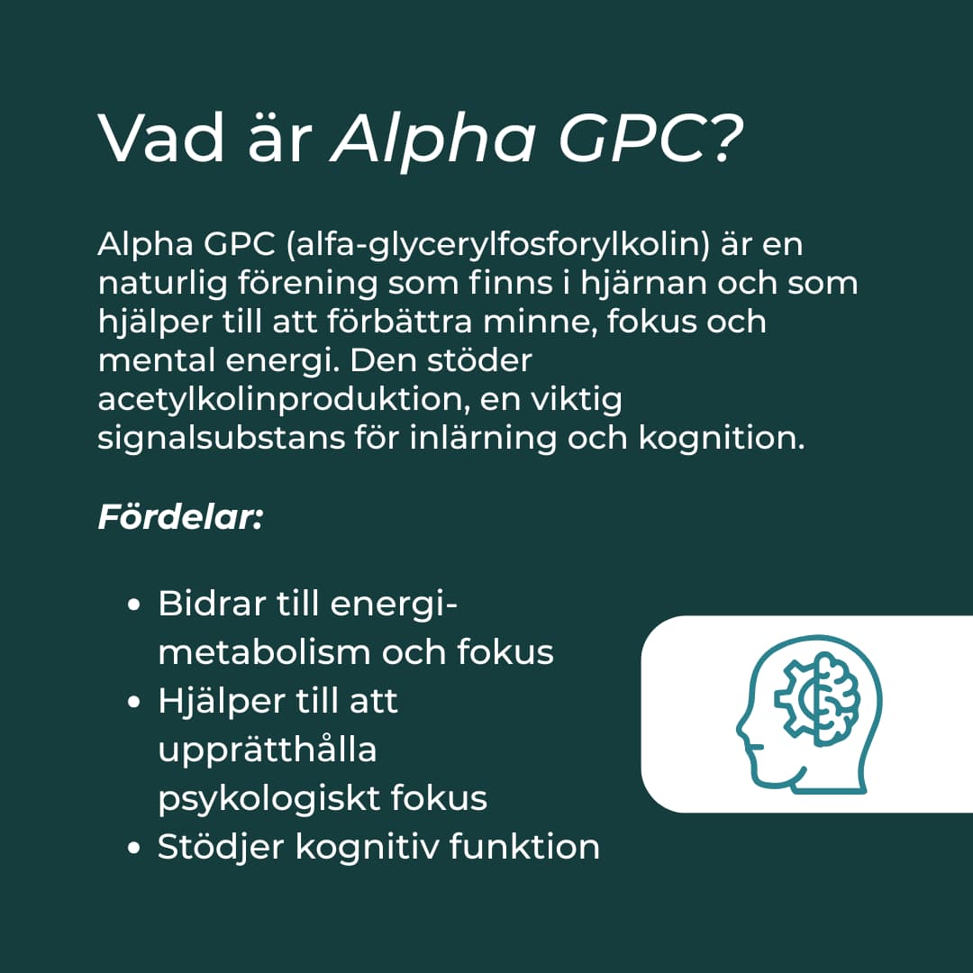 vad är alpha gpc?