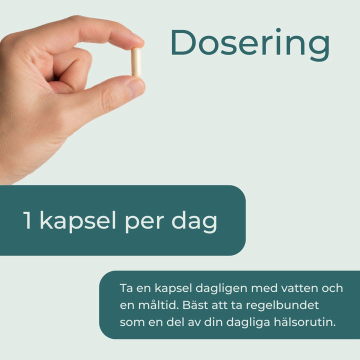 Berberin kapslar dosering