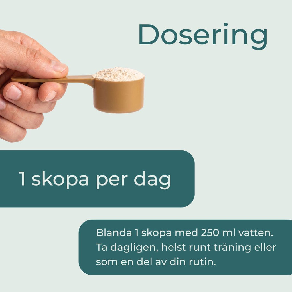 Kreatin pulver dosering