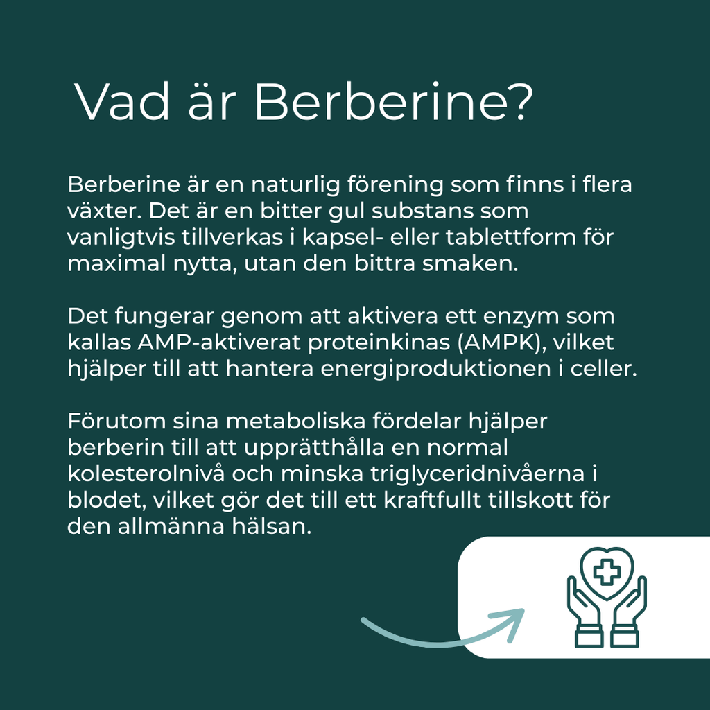 vad är berberine