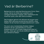 vad är berberine
