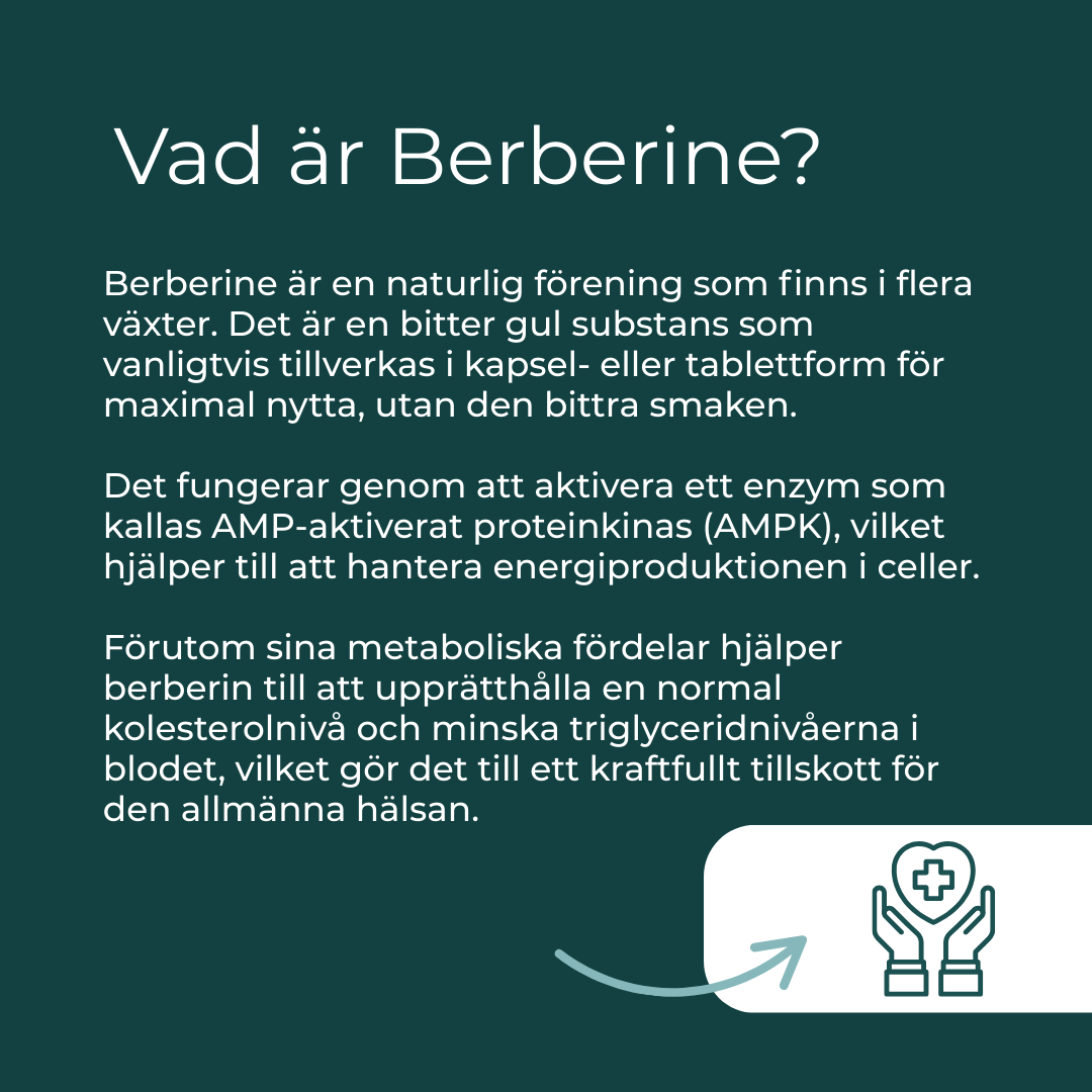 vad är berberine