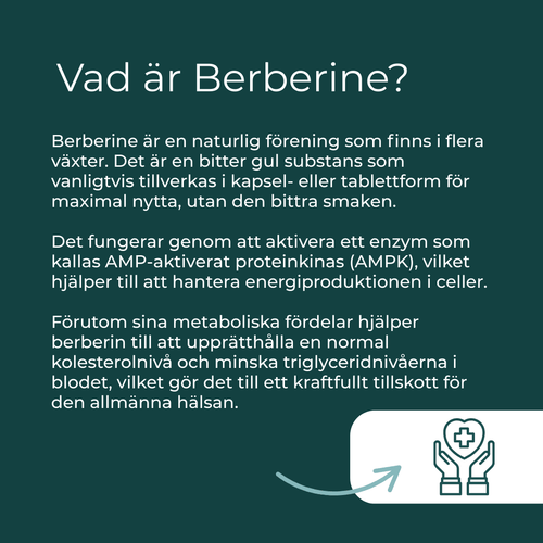 vad är berberine