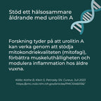 förmåner med urolitin a