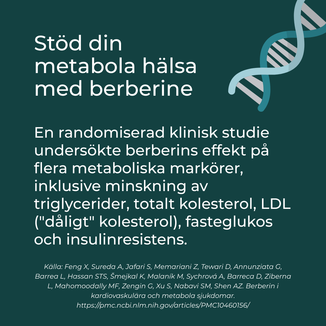 berberine förmåner