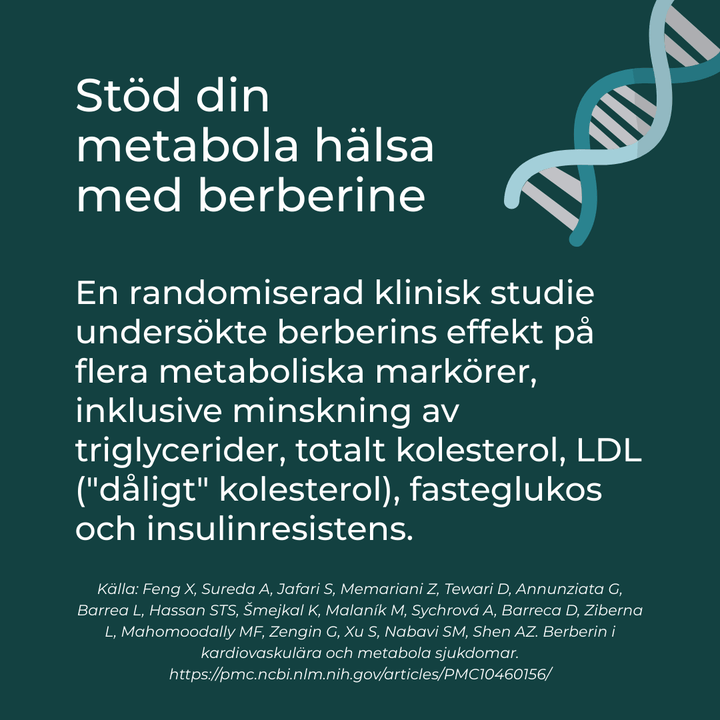 berberine förmåner