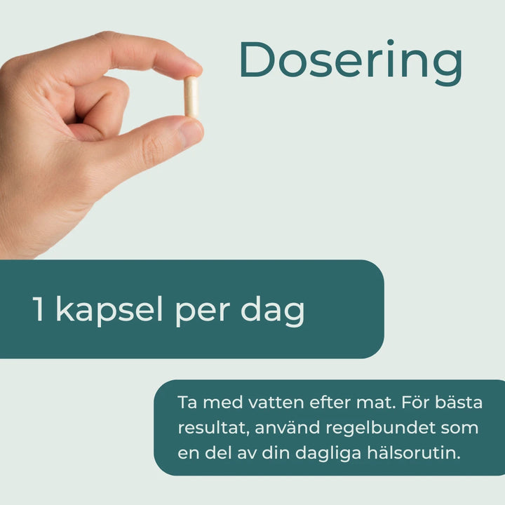 Ashwagandha kapslar dosering