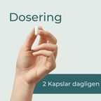 hur mycket GLP 1 