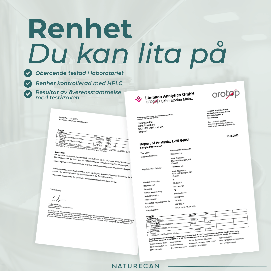 nmn pulver labbrapport