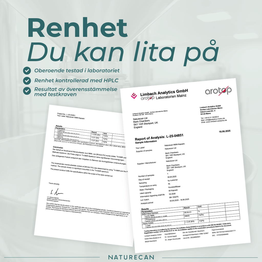 nmn pulver labbrapport