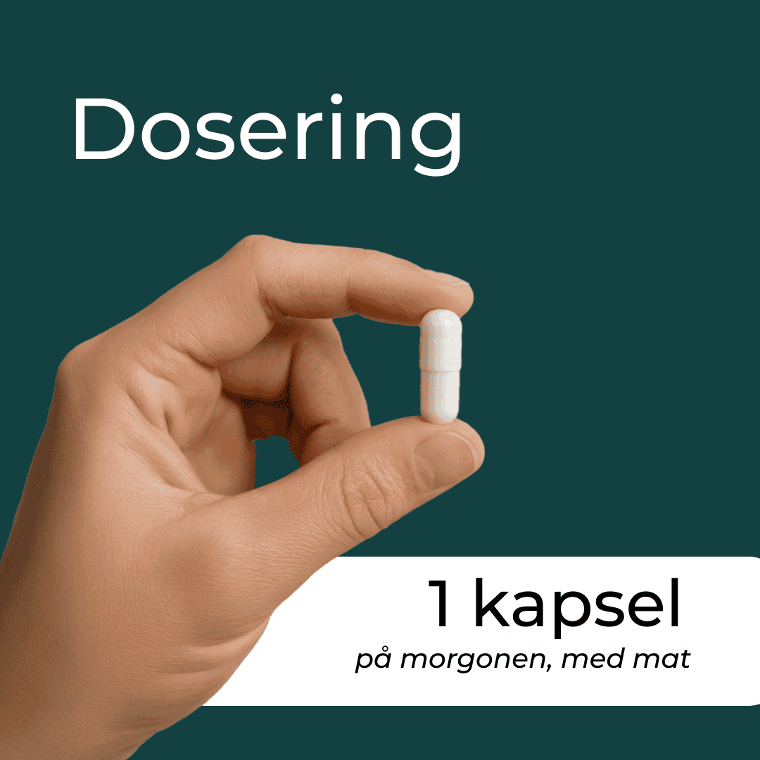 berberine dosering
