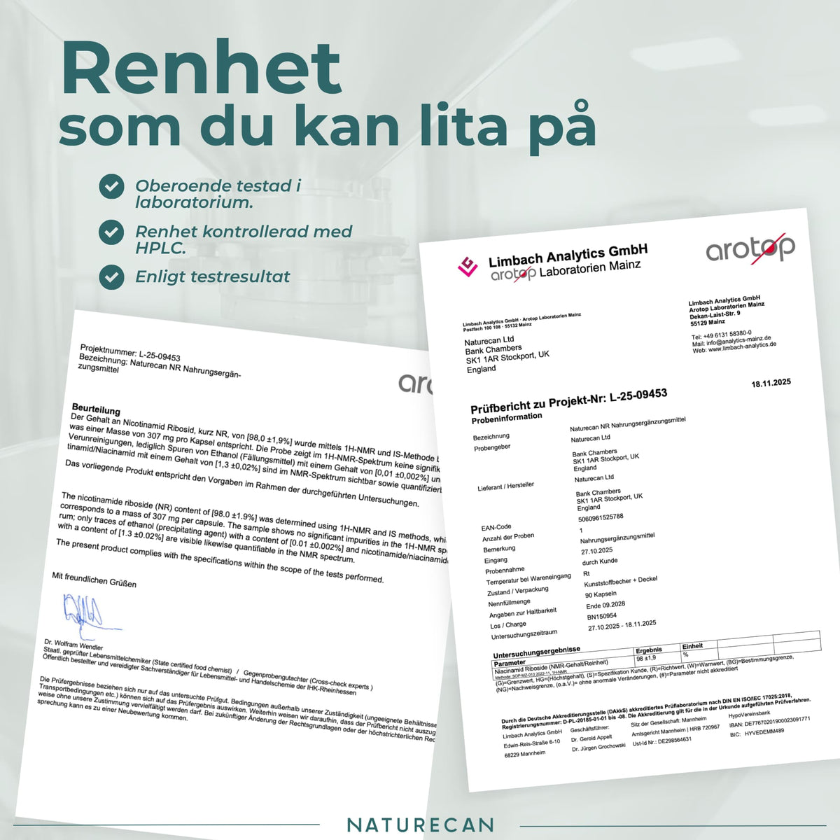 labbrapport nr