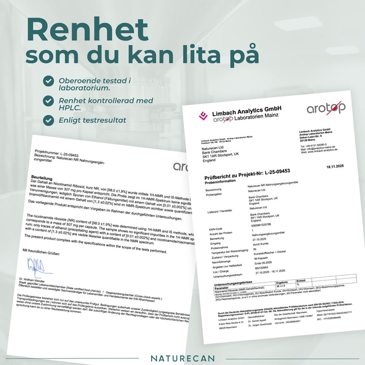 labbrapport nr