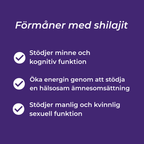 shilajit fördelar
