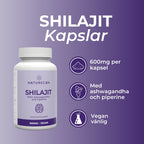 shilajit
